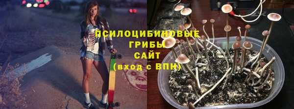 ECSTASY Надым
