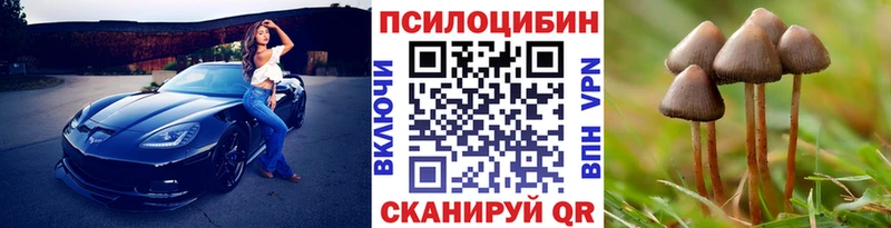 Галлюциногенные грибы MAGIC MUSHROOMS Купить закладки Правдинск